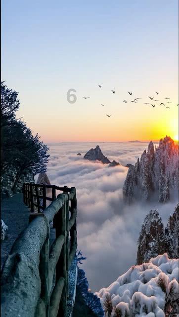 快刺水果